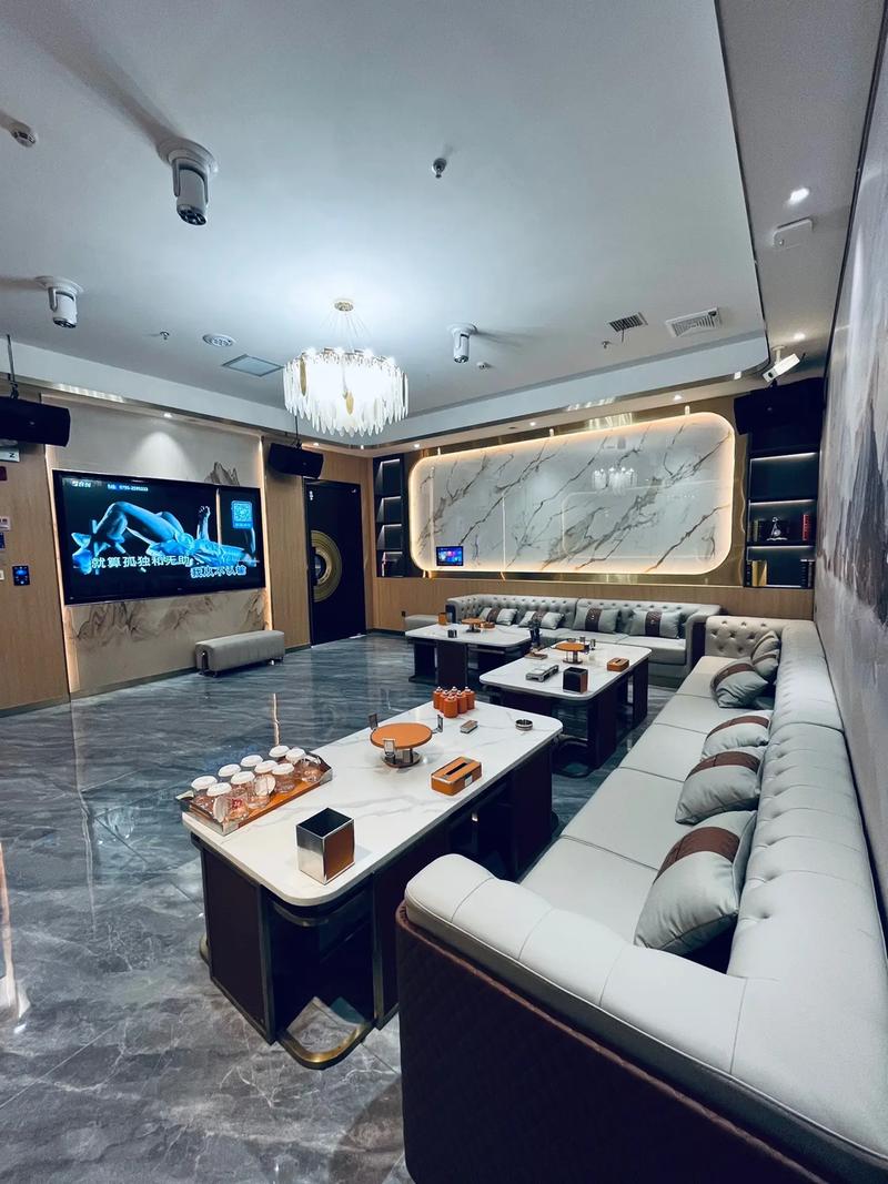 常德商务ktv选择指南-桃源县ktv预定